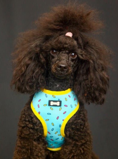 Reversible Sprinkles Dog Harness in Pink and Blue