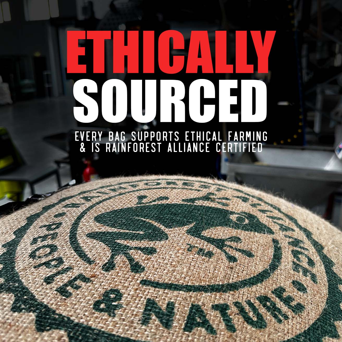 Chocolate Hazelnut Coffee Capsules