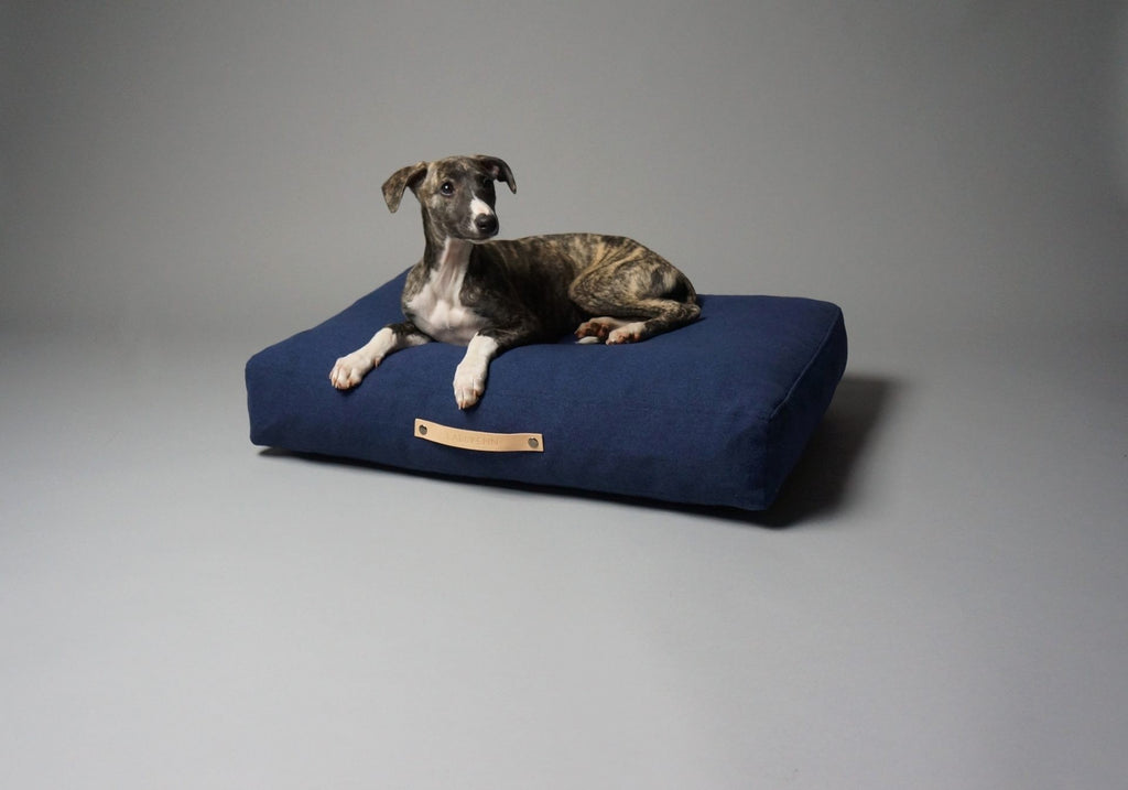 a soft navy blue scandinavian pet cushion with a cozy cotton inlett in warm morning light