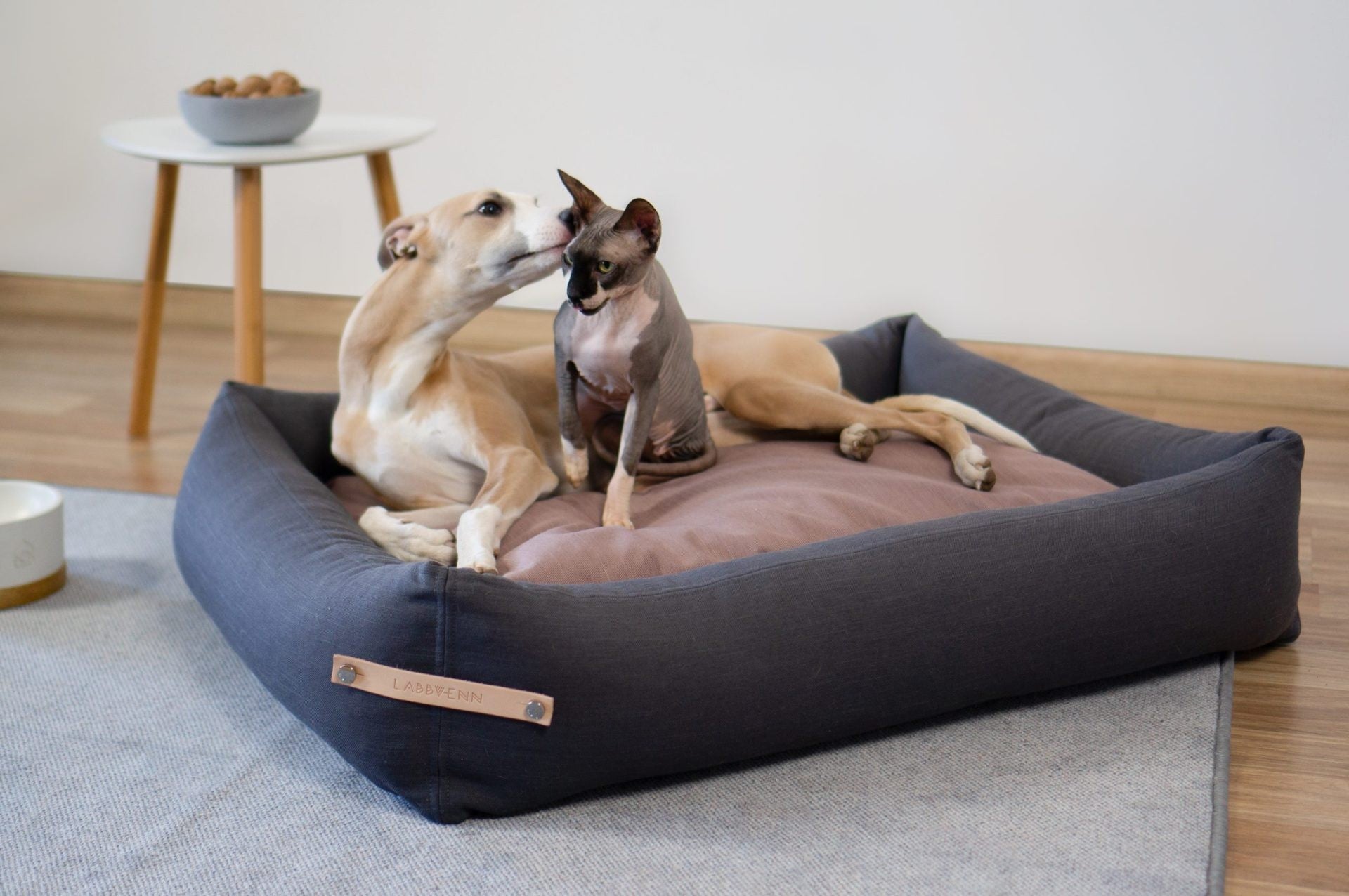 a bold, stylish grey and pink stokke dog bed for large breeds in a modern living room