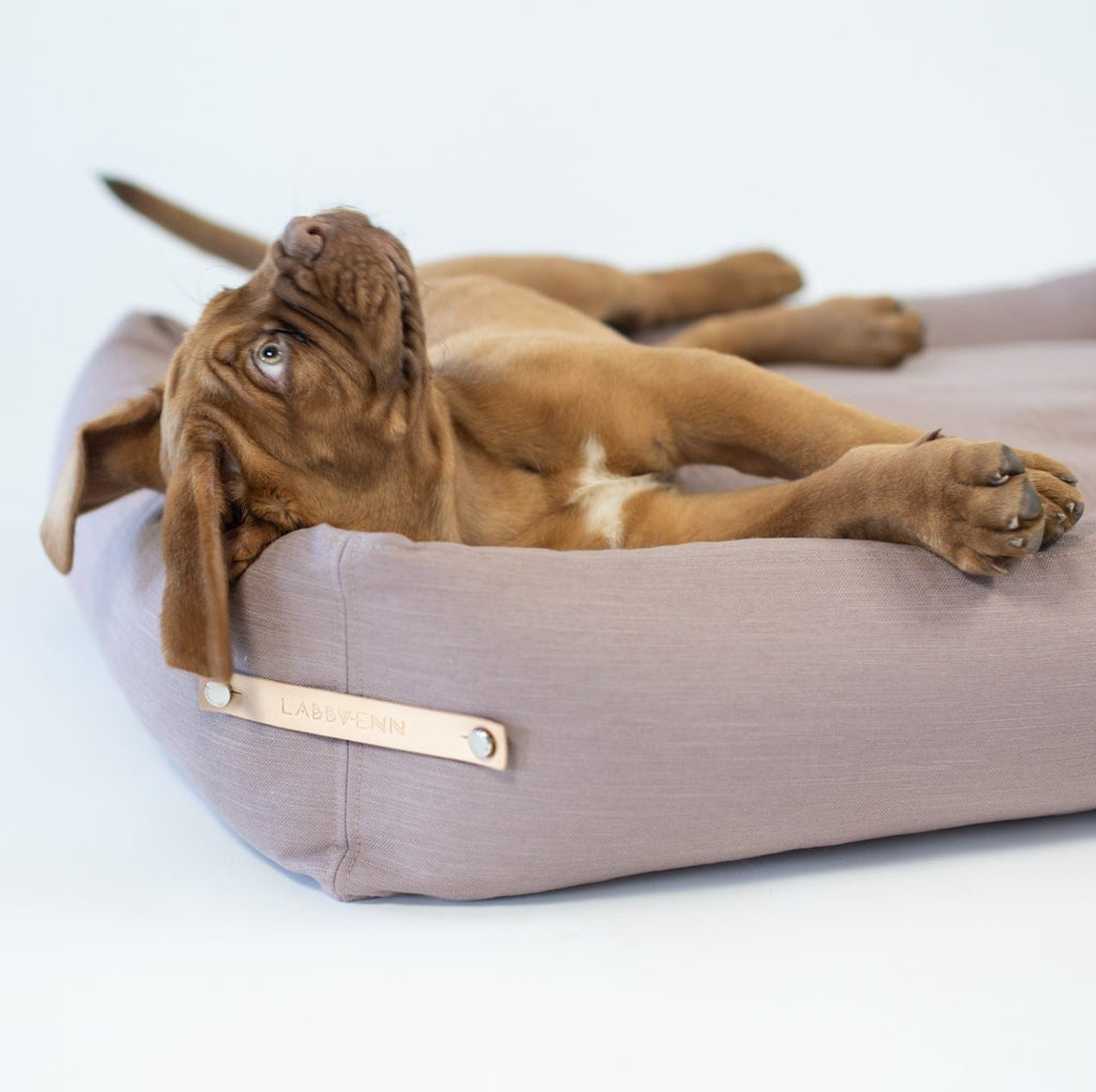 bold pink stokke dog bed in a modern living room setting