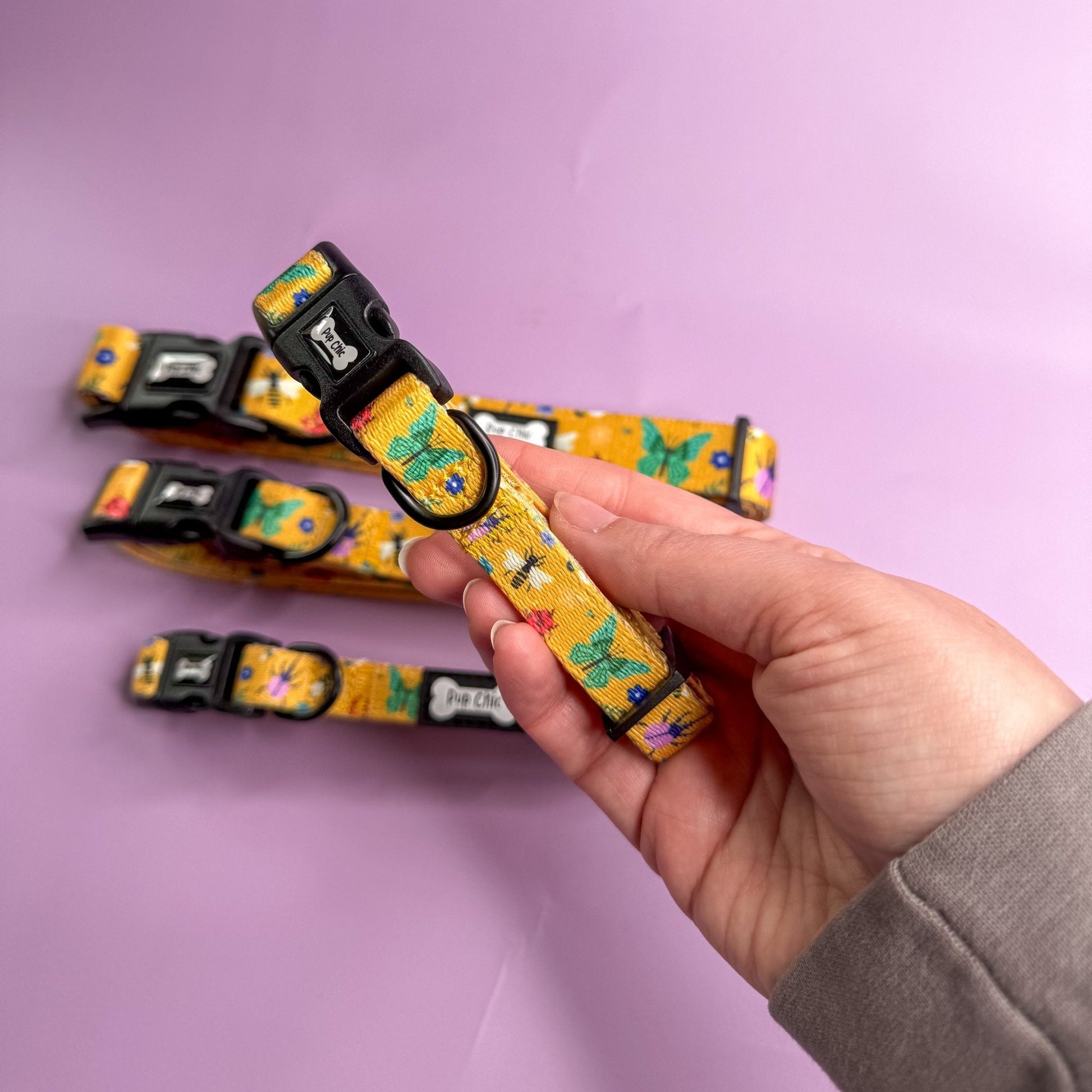 Summer Buzzin Dog Collar