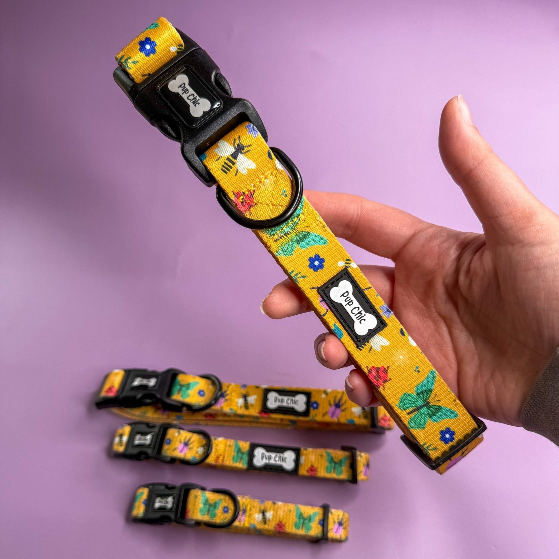 Summer Buzzin Dog Collar