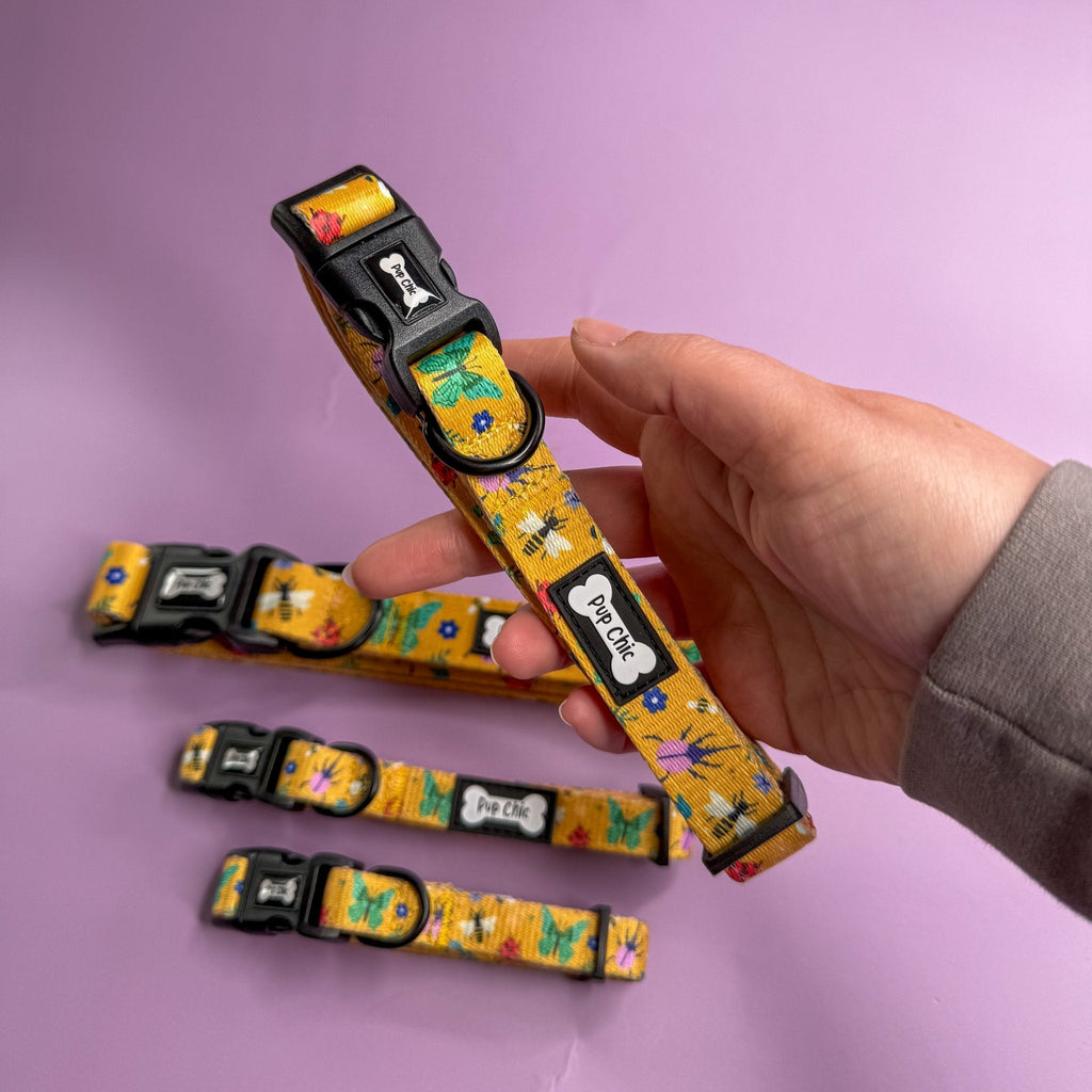 Summer Buzzin Dog Collar