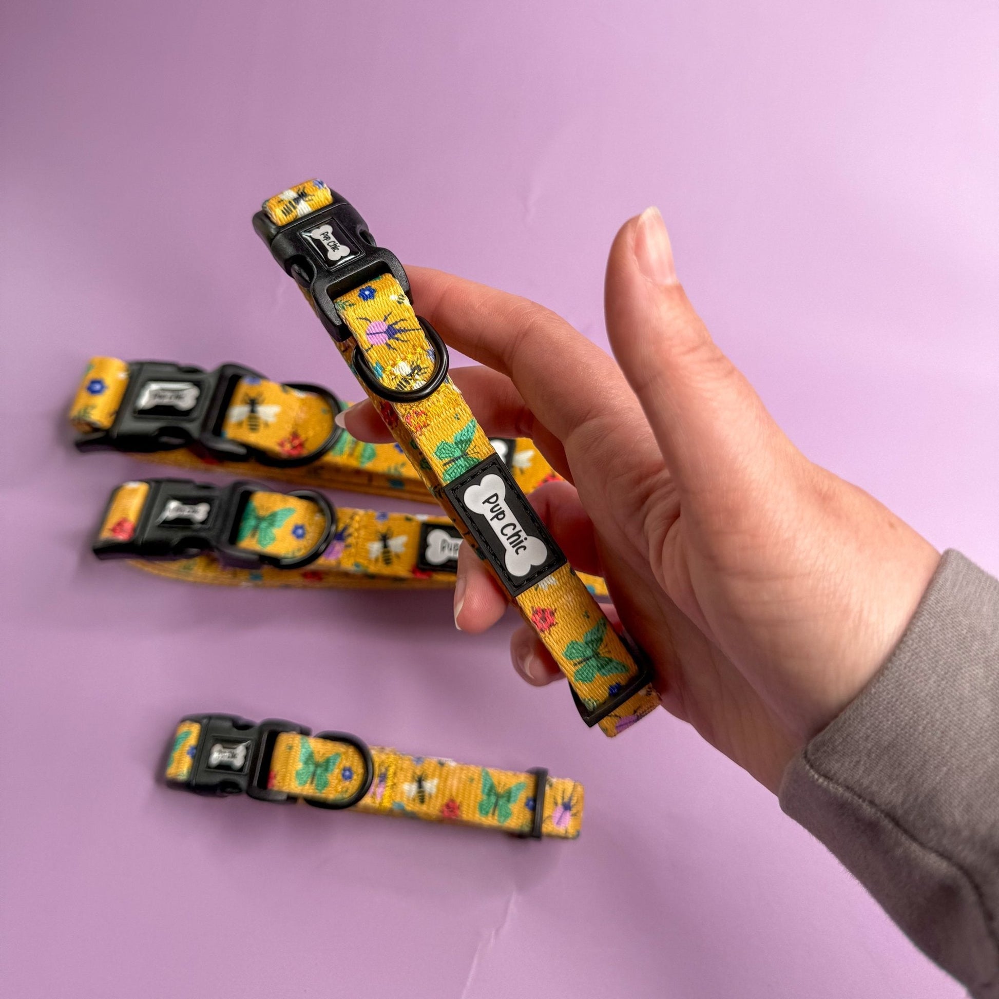 Summer Buzzin Dog Collar