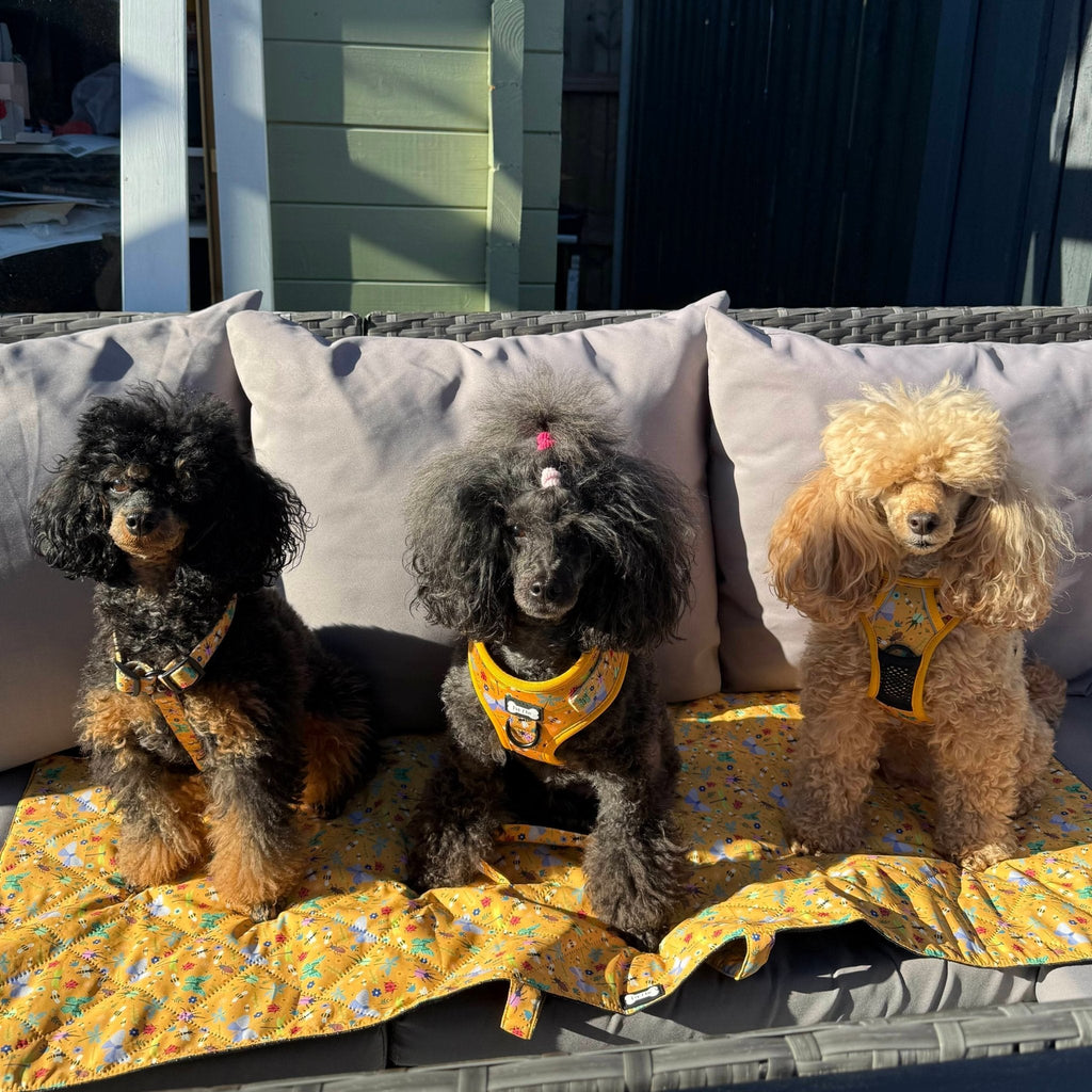 Summer Buzzin Dog Settle Mat Waterproof Travel Friendly