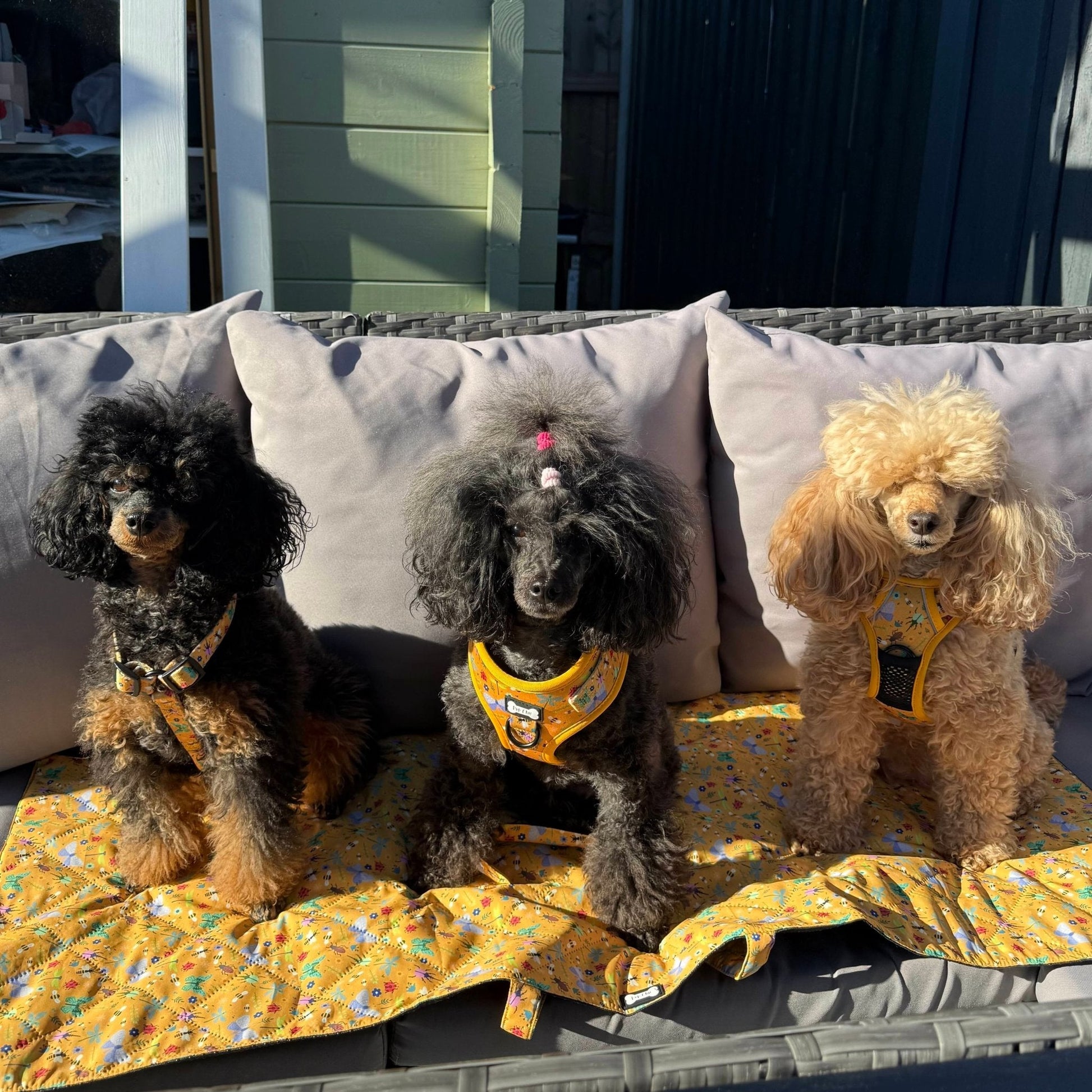 Summer Buzzin Dog Settle Mat Waterproof Travel Friendly