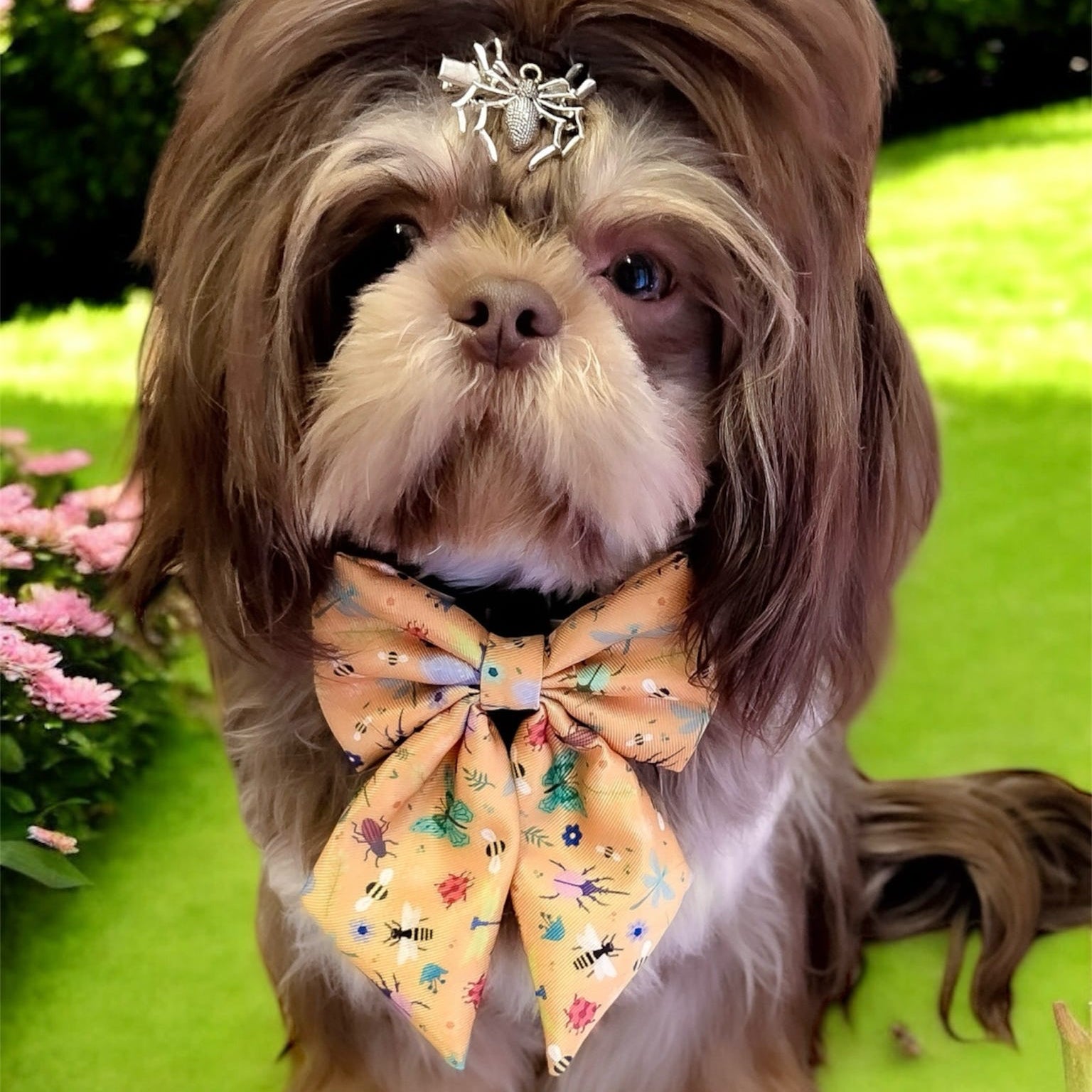 Summer Sailor Bow for Dogs