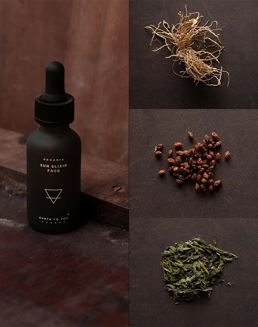 Sun Elixir Face Serum