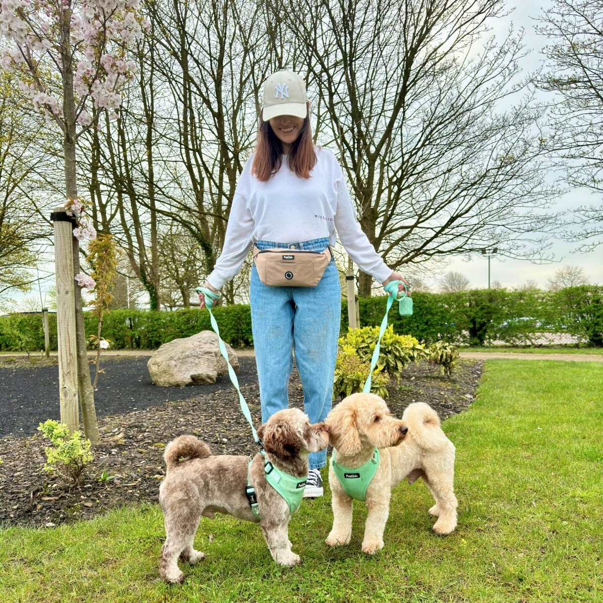 Tan Dog Walking Bum Bag