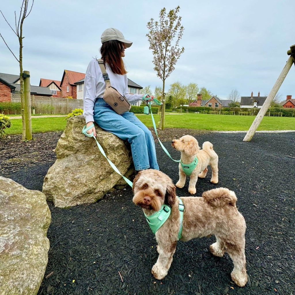 Tan Dog Walking Bum Bag