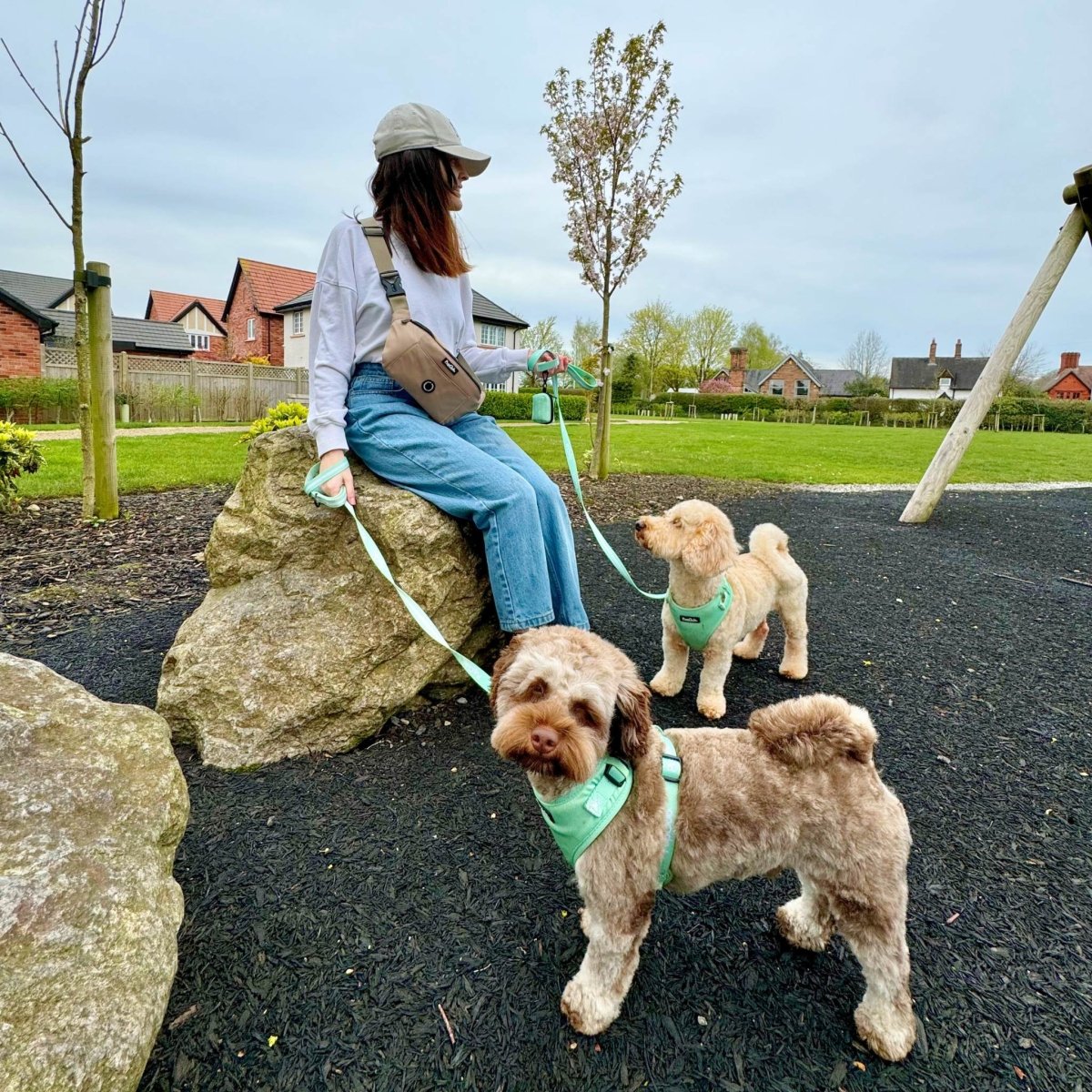 Tan Dog Walking Bum Bag