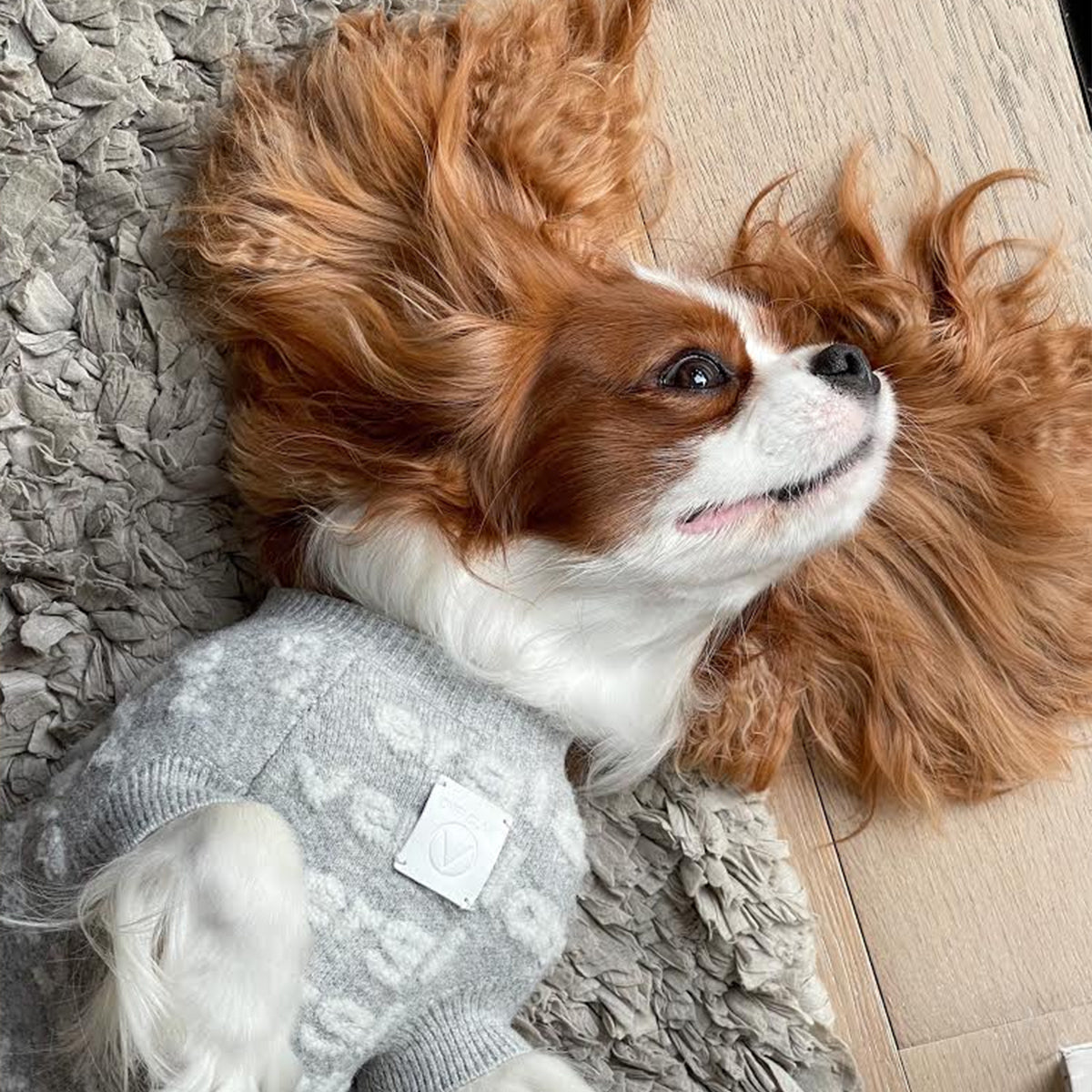 Textured Logo Jumper in Grey