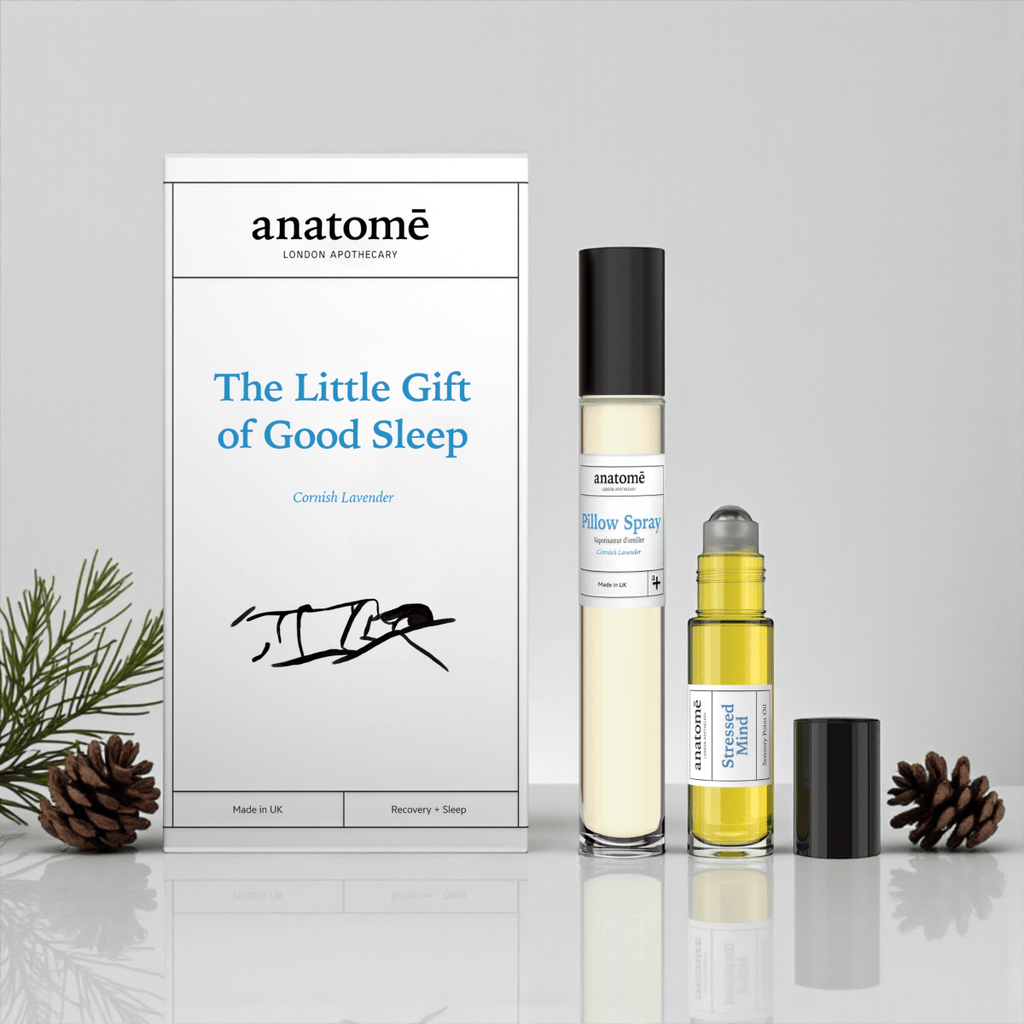 The Little Gift of Good Sleep Lavender Travel Set