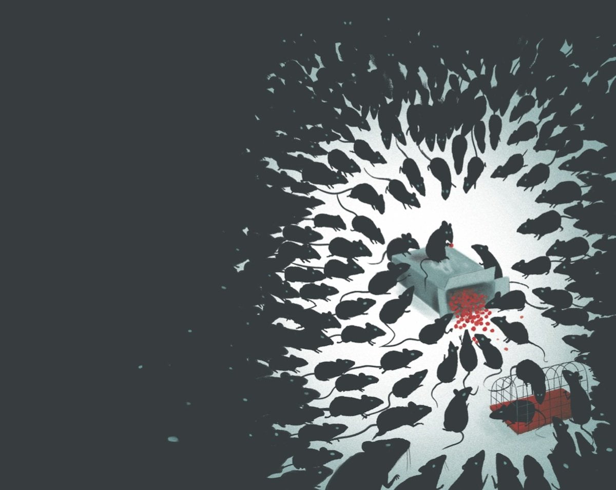 The Pied Piper of Hamelin Picture Book