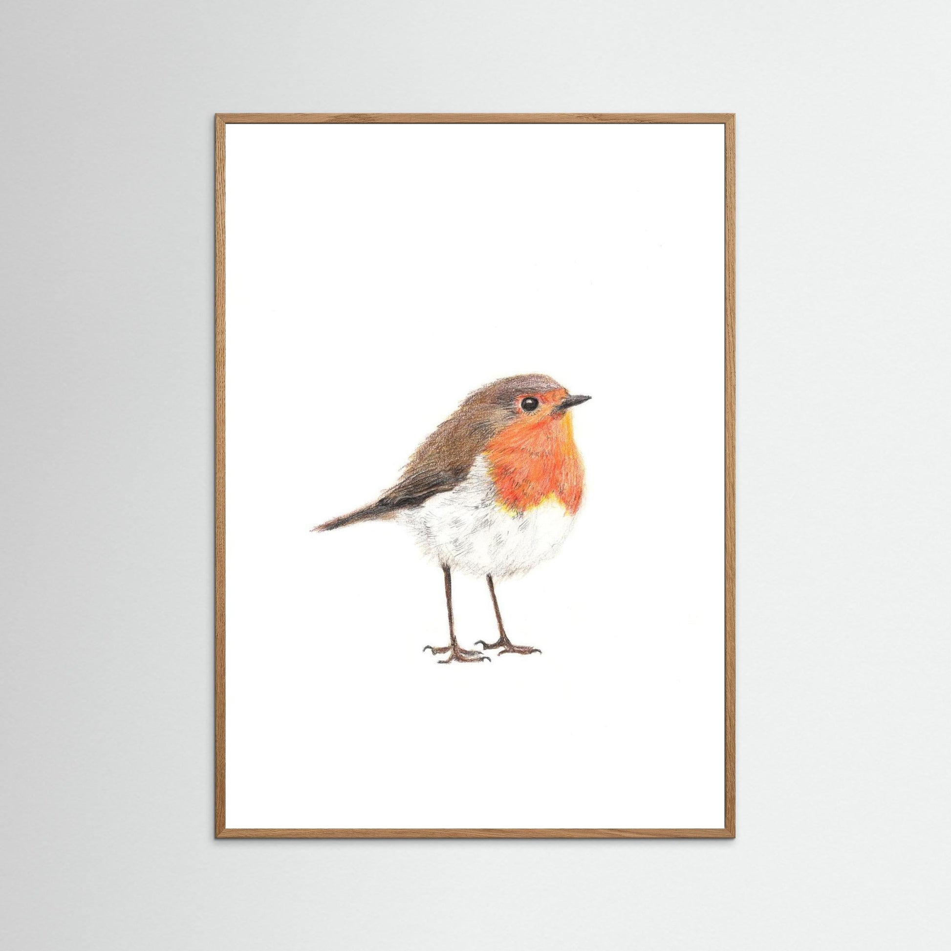 Robin Art Print Wildlife Wall Art for Nature Lovers