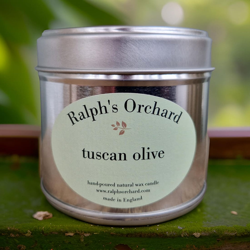 Tuscan Olive