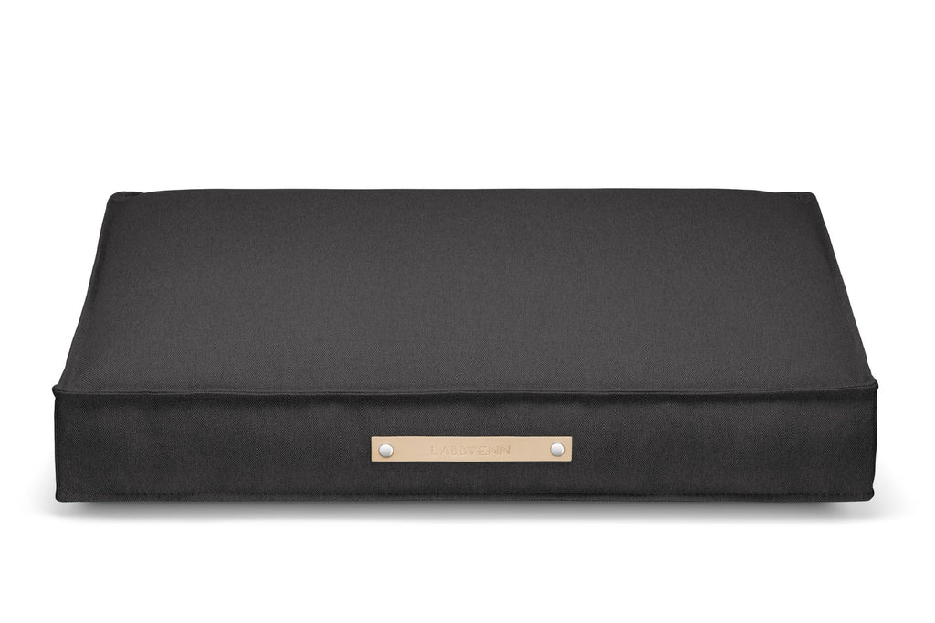 a soft anthracite dog cushion inviting cozy rest in warm morning light