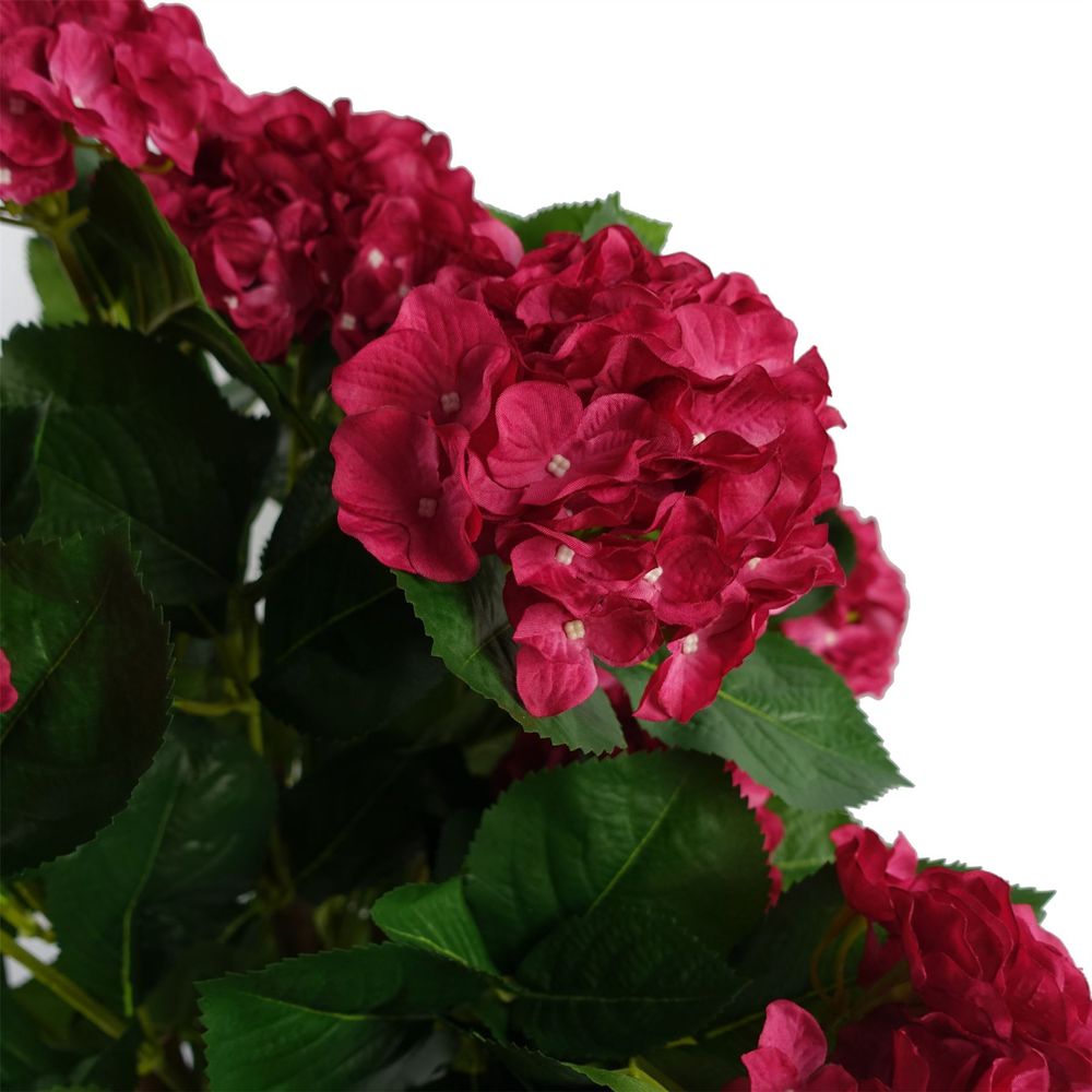 75cm Pink Hydrangea Plant in Pot