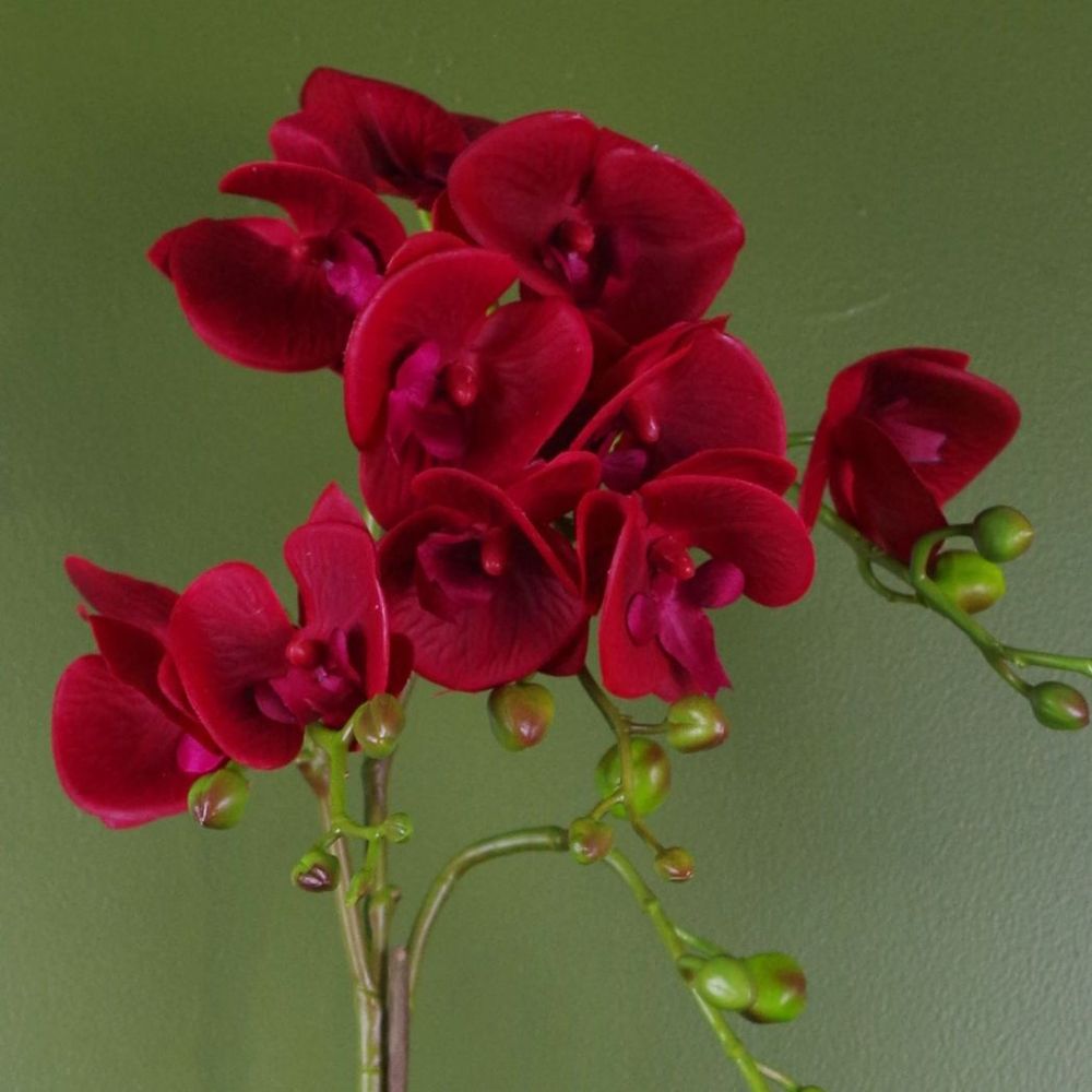 50cm Dark Red Gold Pot Real Touch Orchid Artificial Plant