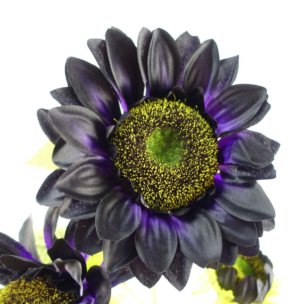Purple Sunflower Arrangement with Glass Vase 100cm