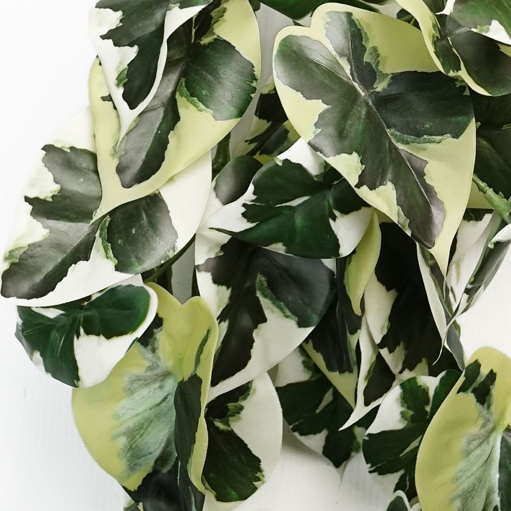 40cm Trailing Marble Pothos Artificial Plant