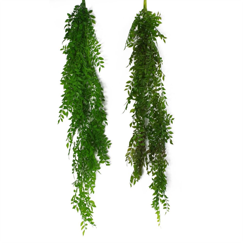Dark Green Hanging String of Pearls Fern 100cm Pack of 6