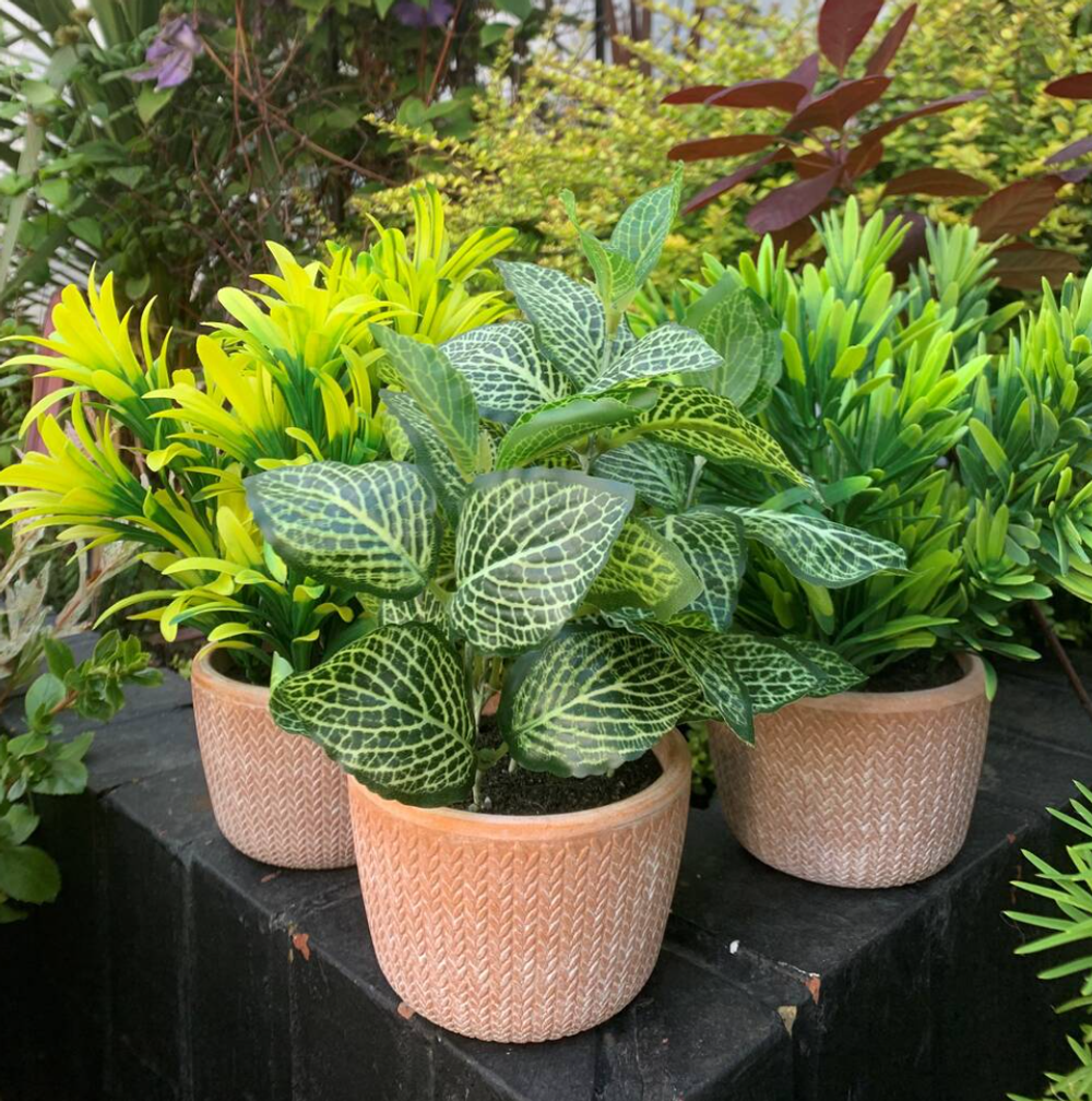 Set of Three Artificial Plants in Terracotta Pots