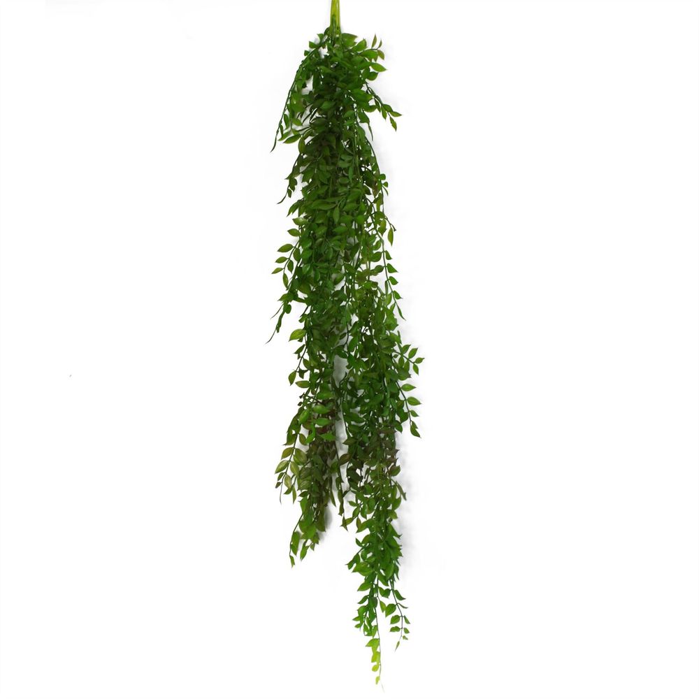 Dark Green Hanging String of Pearls Fern 100cm Pack of 6