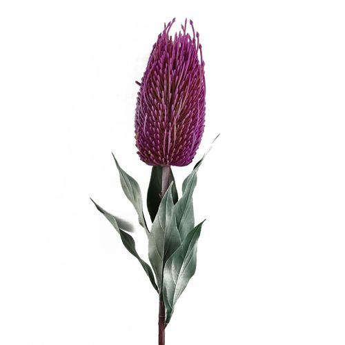 Pack of 6 Pink Banksia Flower Stems 75cm Artificial