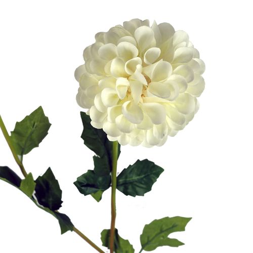 Pack of 6 Artificial Dahlia Pompom Flower Stems in Cream 75cm
