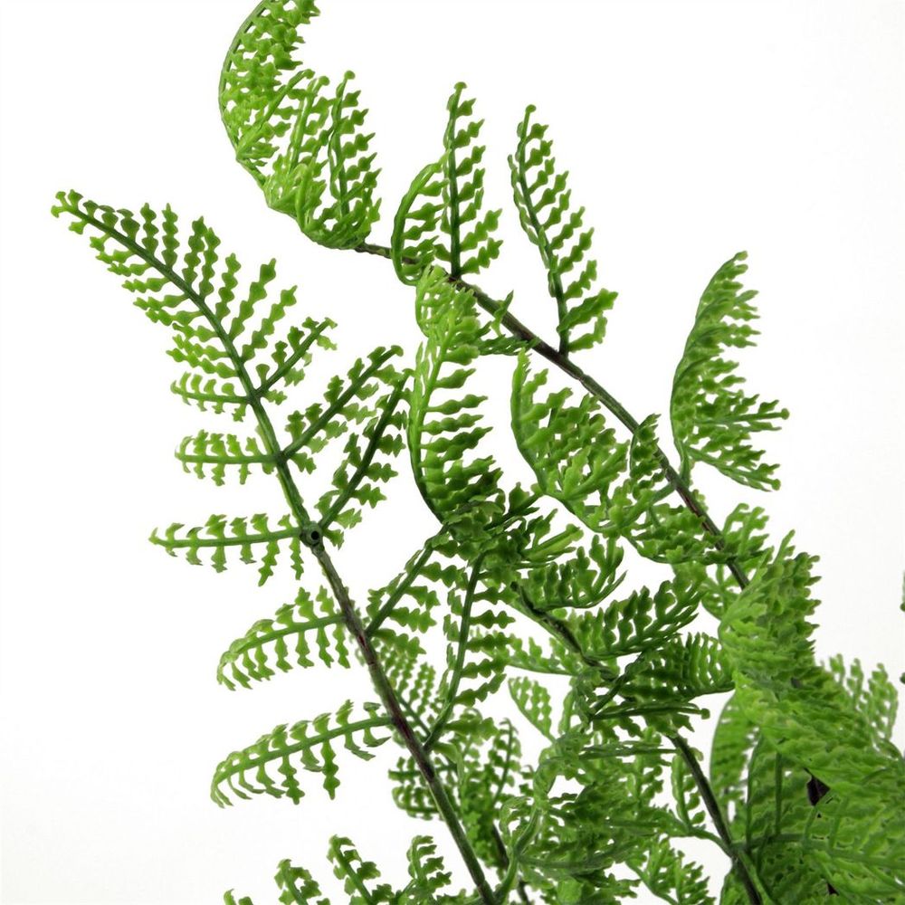 50cm Dark Green Southern Wood Fern Bush