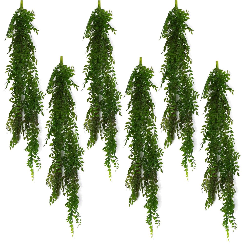 Dark Green Hanging String of Pearls Fern 100cm Pack of 6