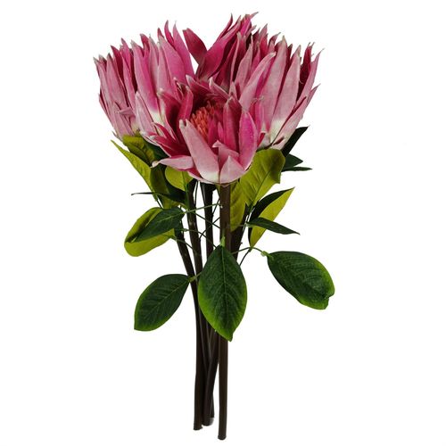 Pack of 6 Pink Protea Sugarbush Flower Stems 65cm