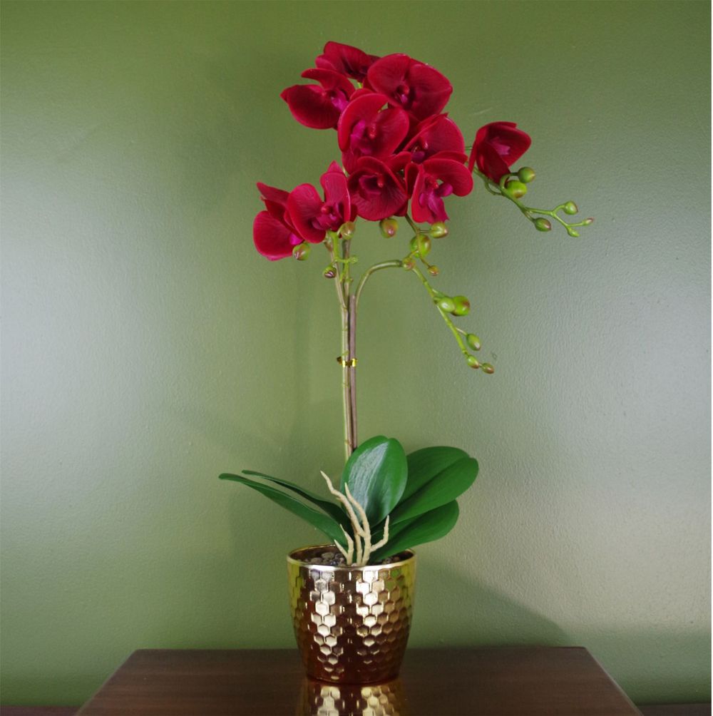 Dark Red Orchid 50cm Artificial Plant in Gold Pot