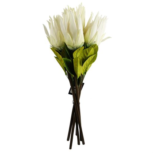 Pack of 6 White Protea Sugarbush Flower Stems 65cm