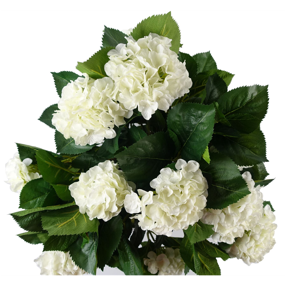 White Silk Hydrangea Plant 75cm Tall with Natural Wood Trunk