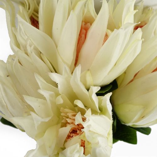 Pack of 6 White Protea Sugarbush Flower Stems 65cm