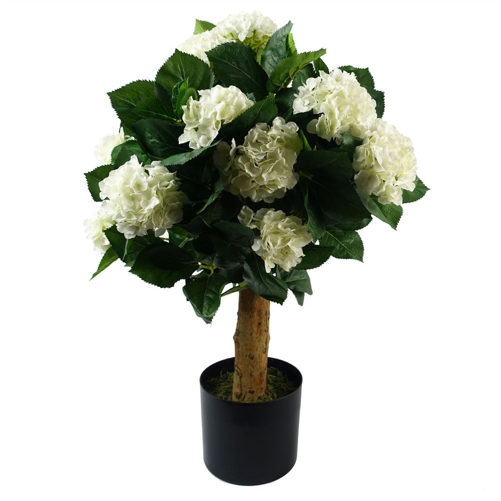 White Silk Hydrangea Plant 75cm Tall with Natural Wood Trunk