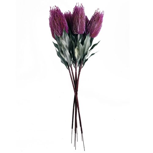 75cm Pink Banksia Menziesii Artificial Flower Stem