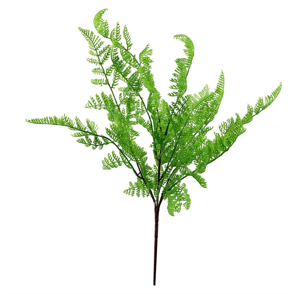 50cm Dark Green Southern Wood Fern Bush