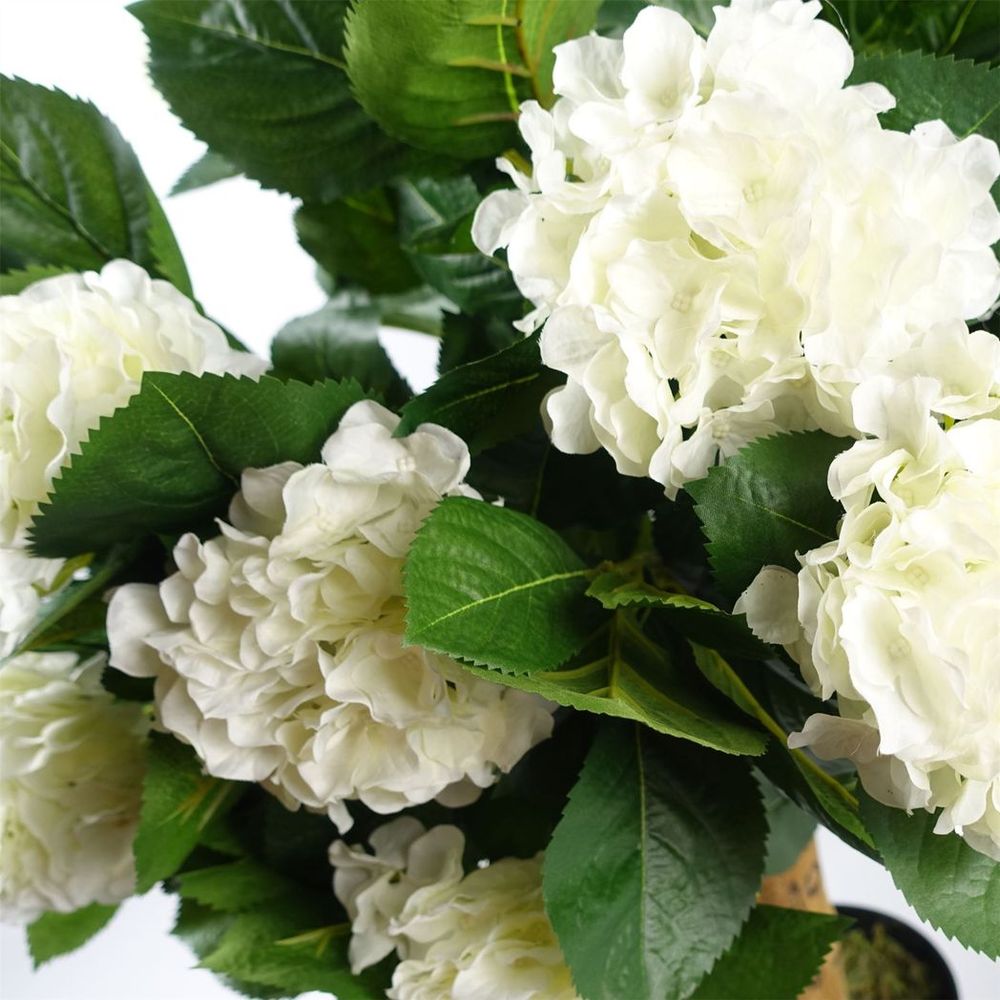 White Silk Hydrangea Plant 75cm Tall with Natural Wood Trunk