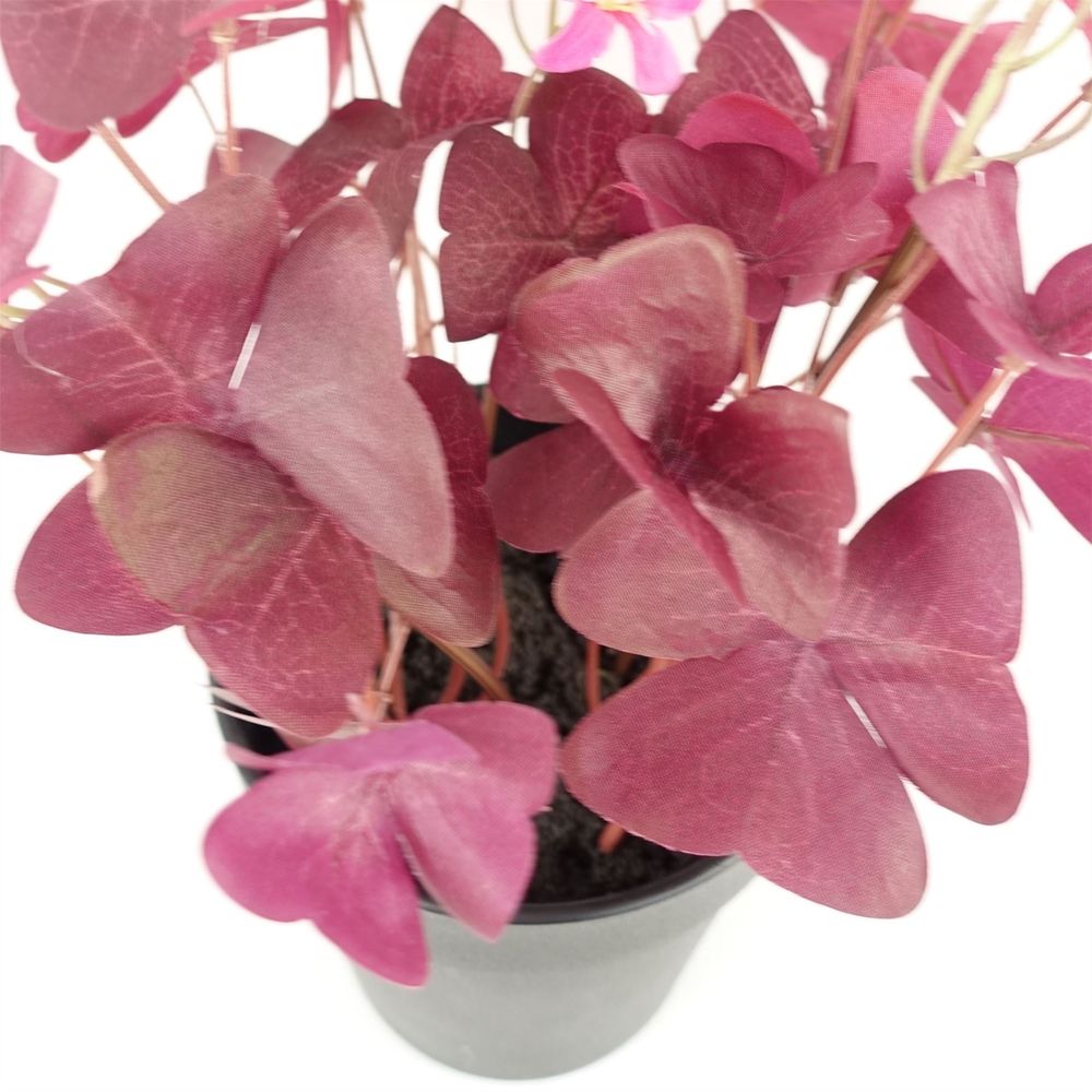30cm Artificial Purple Shamrock with Pink Flowers in Pot