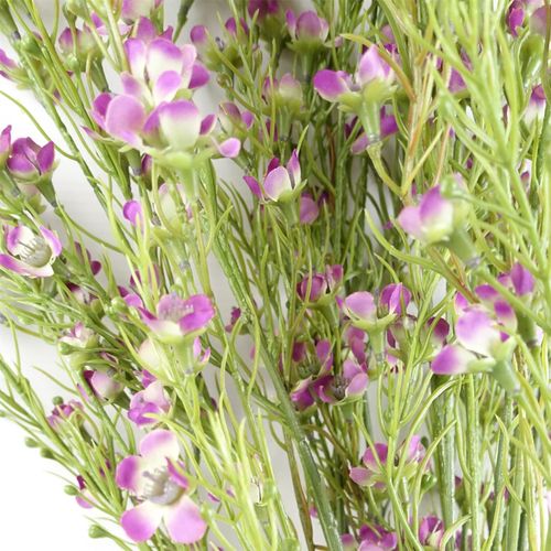 Purple Artificial Foliage Stems with Small Flowers Pack of 6