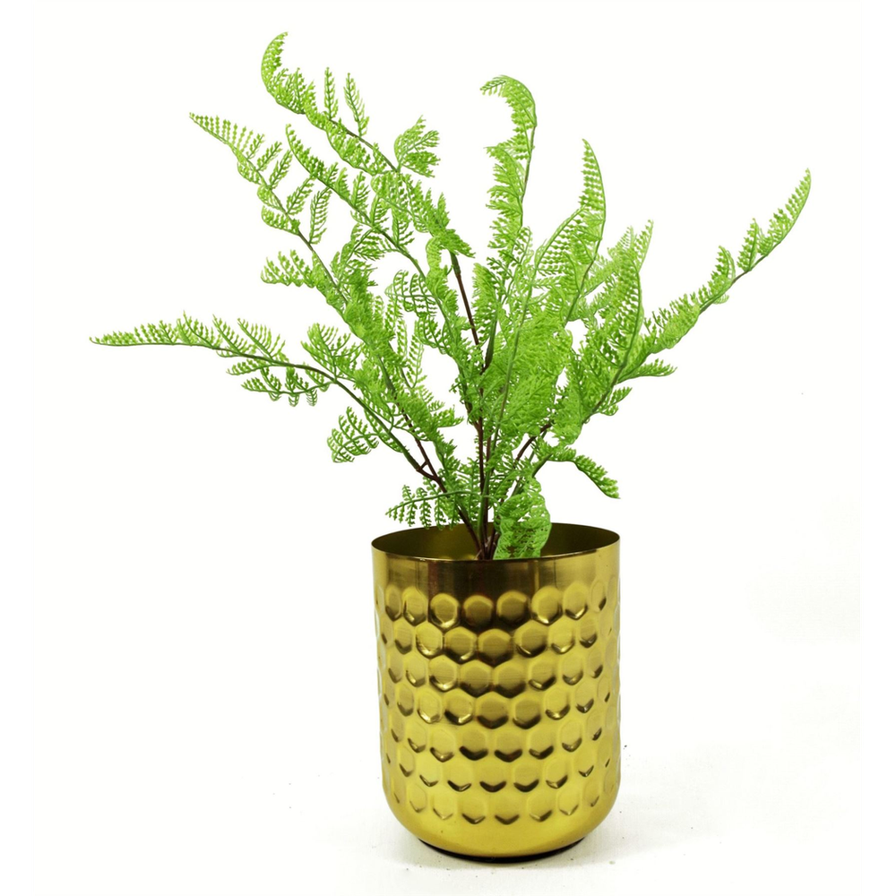 50cm Dark Green Southern Wood Fern Bush