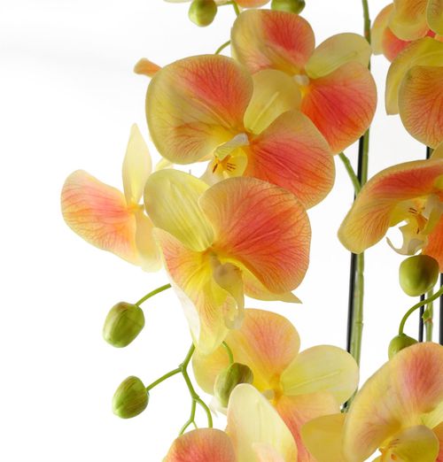 110cm Large Yellow Peach Orchid Plant Artificial with 41 Real Touch Flowers