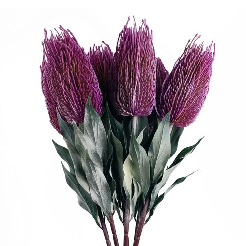 Pack of 6 Pink Banksia Flower Stems 75cm Artificial