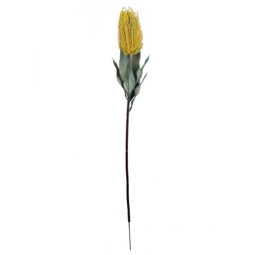 75cm Yellow Banksia Menziesii Artificial Flower Stem