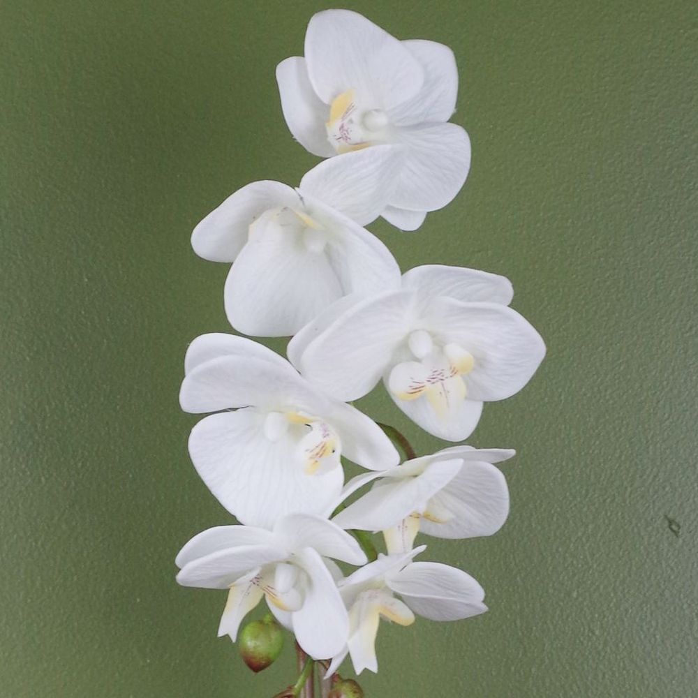 46cm White Orchid with Silver Pot Artificial Plant