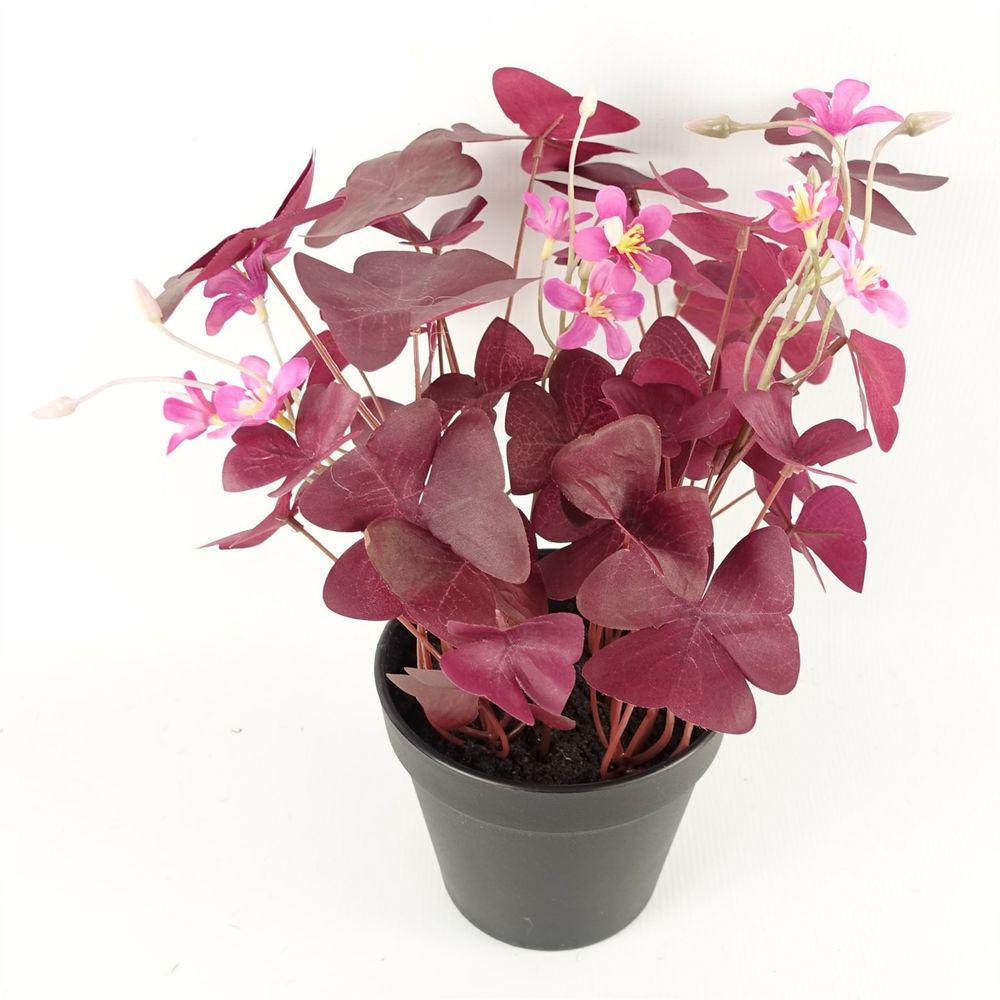 30cm Artificial Purple Shamrock with Pink Flowers in Pot